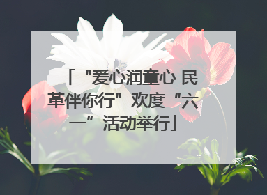 “爱心润童心 民革伴你行”欢度“六一”活动举行
